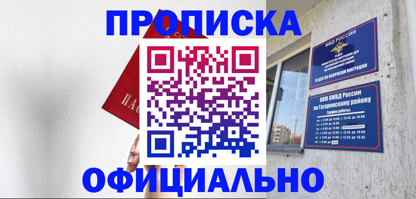 найти адрес прописки в Щёлково